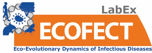 logo_ECOFECT